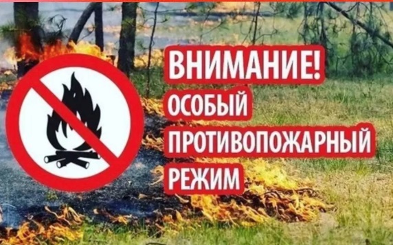 Пртотивопожарный режим на период