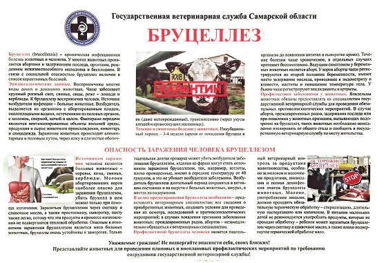 бруцеллез.памятка