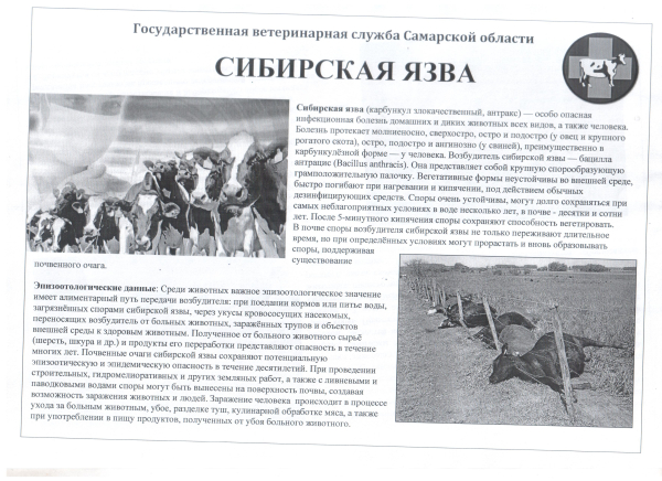 Памятка "Сибирская язва"