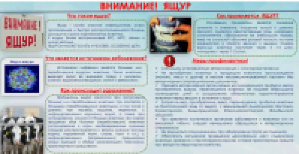 Внимание!