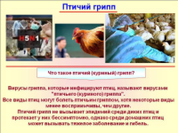 Внимание!