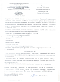 О стерилизации домашних собак