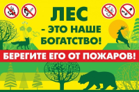 ПАМЯТКА ДЛЯ НАСЕЛЕНИЯ О МЕРАХ ПОЖАРНОЙ БЕЗОПАСНОСТИ В ВЕСЕННЕ-ЛЕТНИЙ ПОЖАРООПАСНЫЙ ПЕРИОД