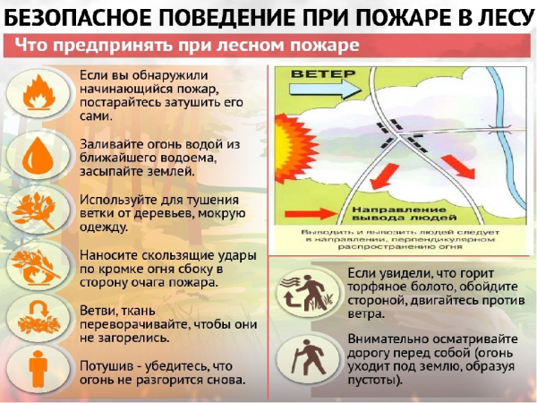 Внимание! При лесном пожаре ставропольцев просят звонить в Минприроды или лесникам.