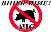Внимание!