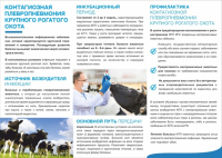 Контагиозная плевропневмония