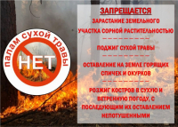 Правила пожарной безопасности в лесах