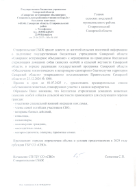 Бесплатная стерилизация домашних собак