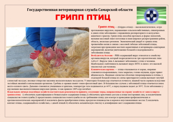 Внимание!