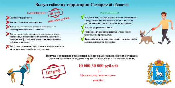 Выгул собак
