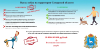 Выгул собак