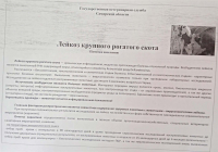 Памятка по лейкозу КРС