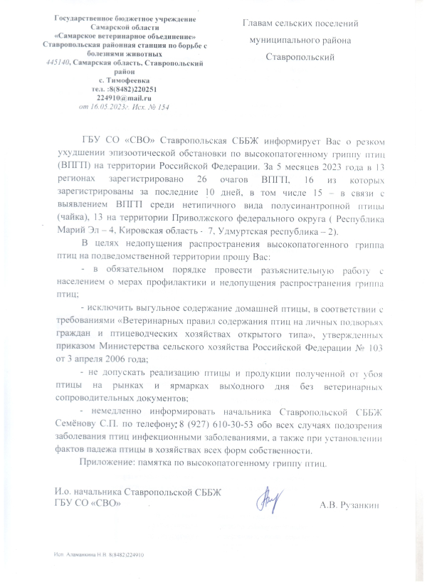 Высокопатогенный грипп птиц
